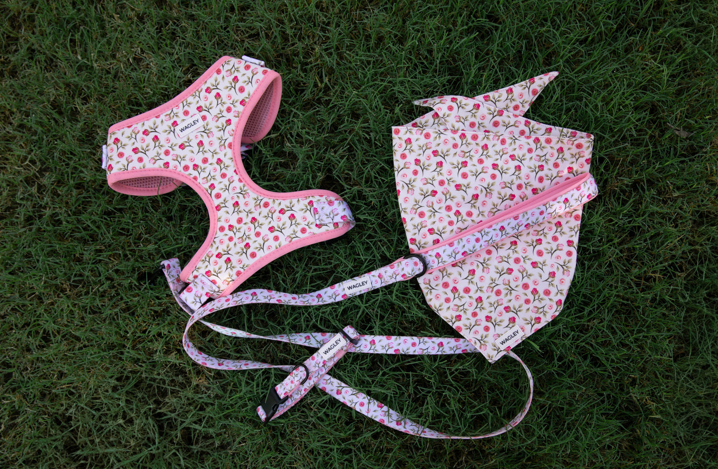 rosé set - harness, collar, leash bandana