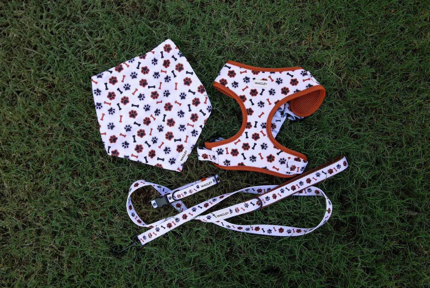 scout set - harness, collar, leash bandana