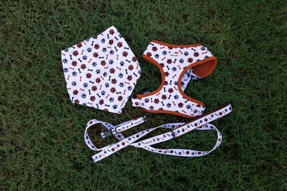 scout set - harness, collar, leash bandana