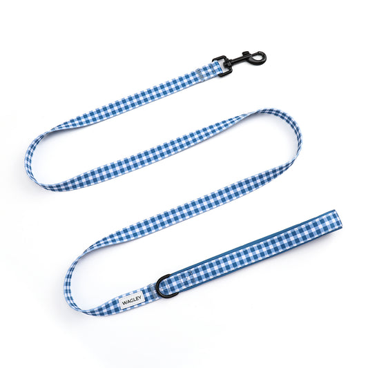 Blueberry Picnic Leash