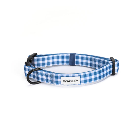 Blueberry Picnic Collar