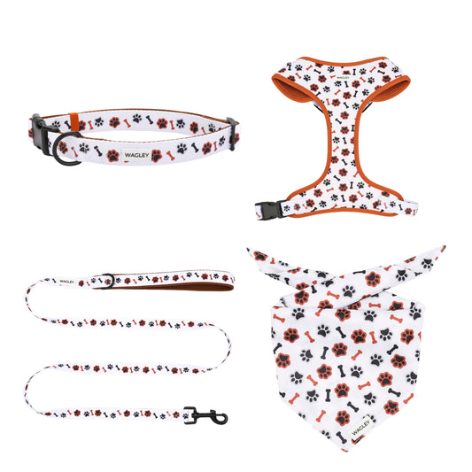 scout set - harness, collar, leash bandana