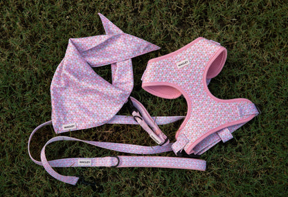 prism set - harness, collar, leash bandana