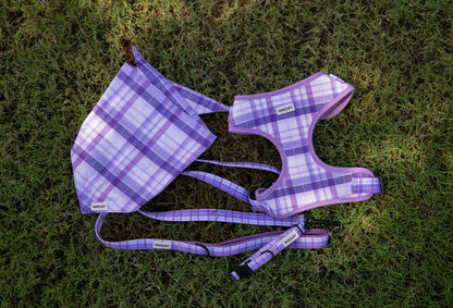 gingham set - harness, collar, leash bandana