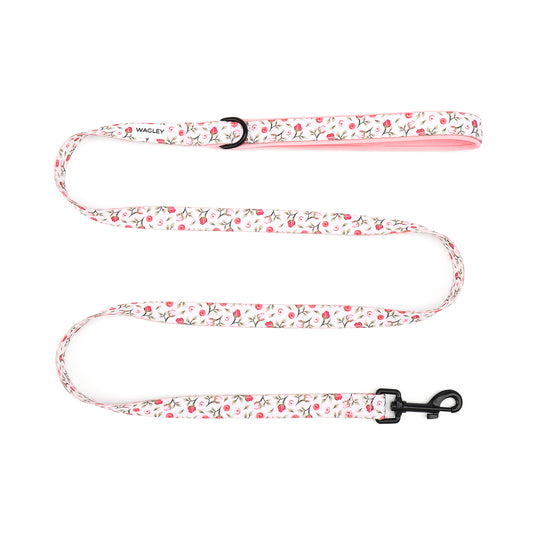rosé leash
