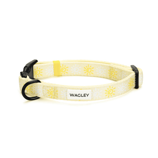 sunny day collar