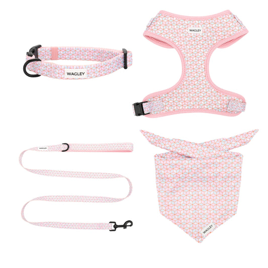 prism set - harness, collar, leash bandana