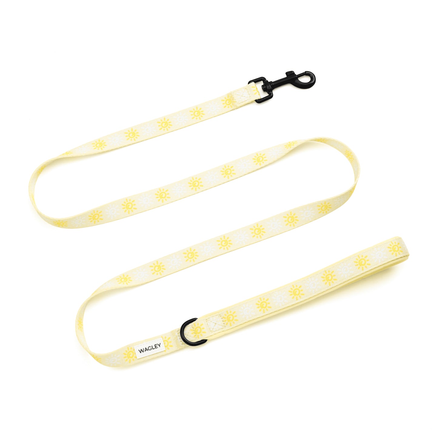 sunny day leash