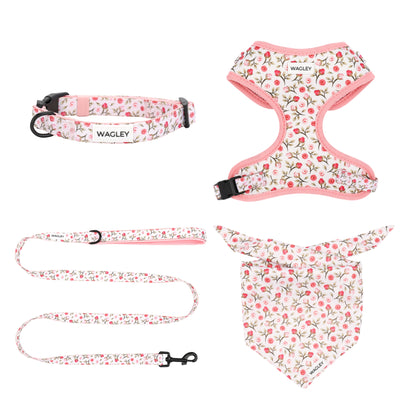 rosé set - harness, collar, leash bandana
