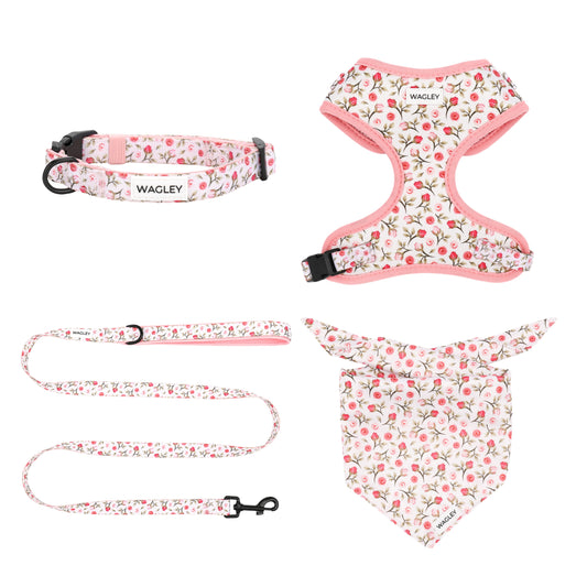 rosé set - harness, collar, leash bandana